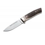 Muela Kodiak Stag