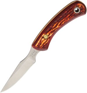 BCSD42