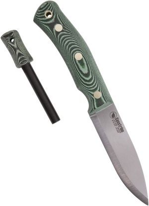 CI13127