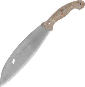 CTK392499