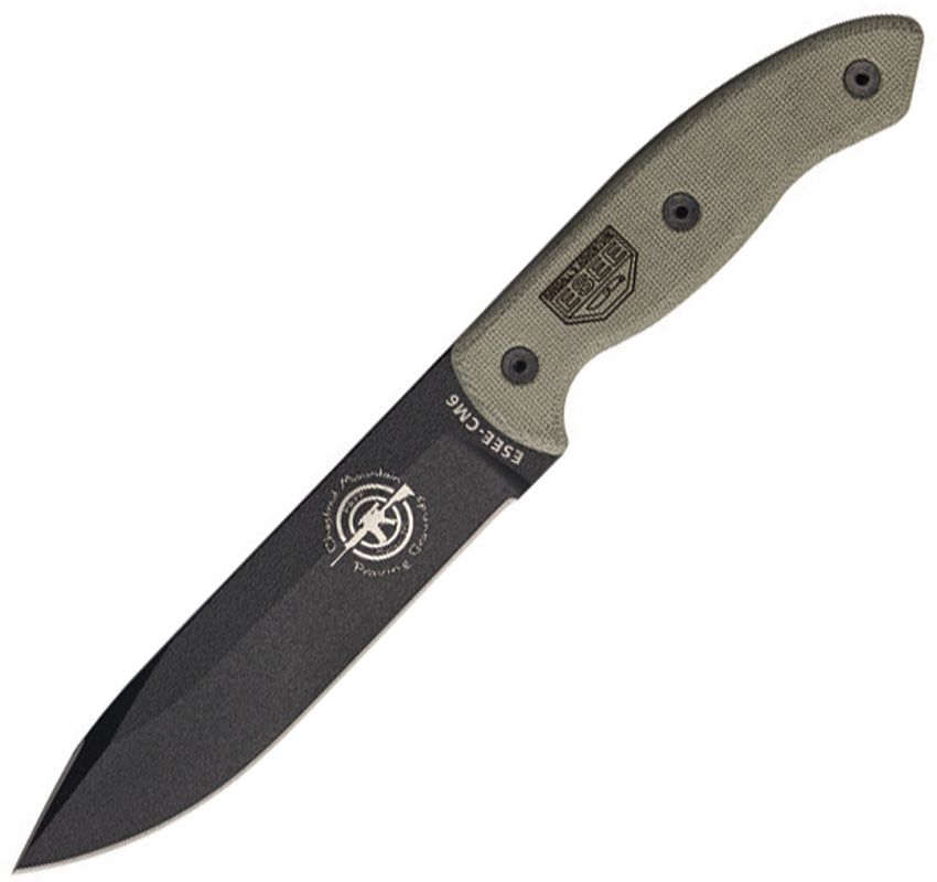 ESCM6