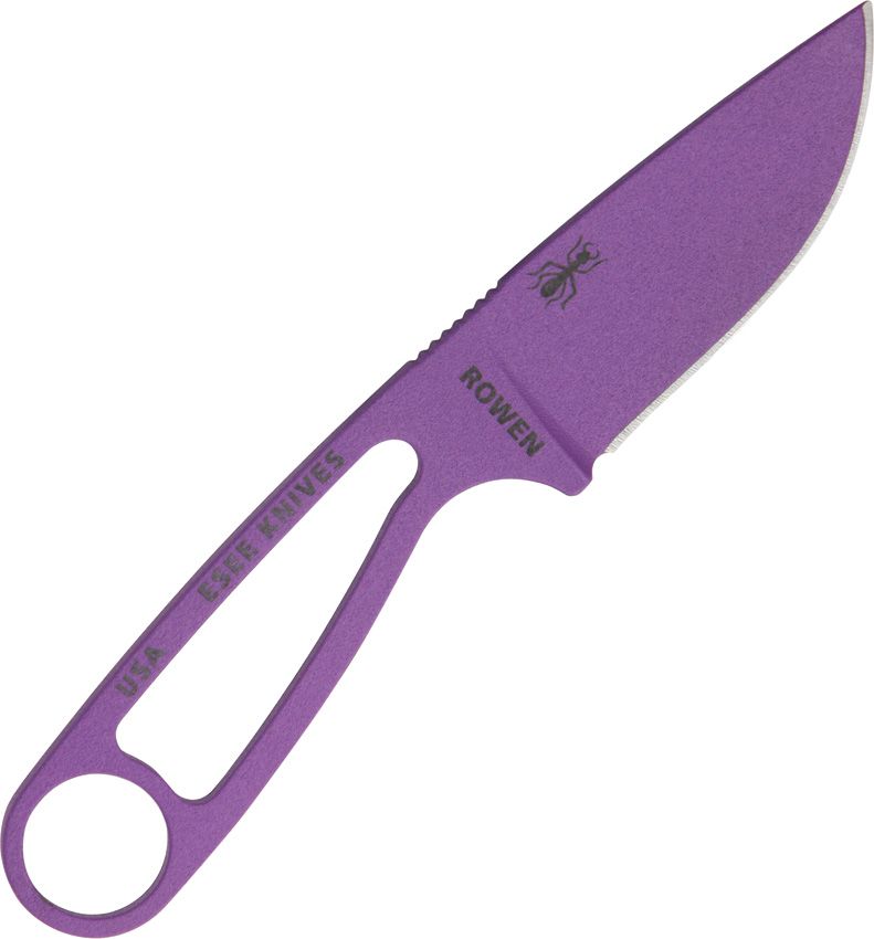 ESIPURP
