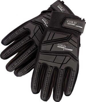 CSGL13