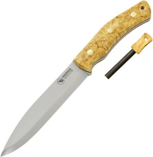 CI13424