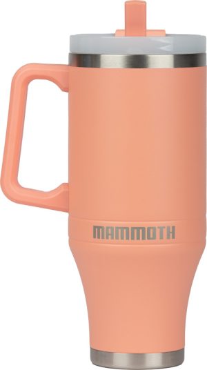 MAMM25301