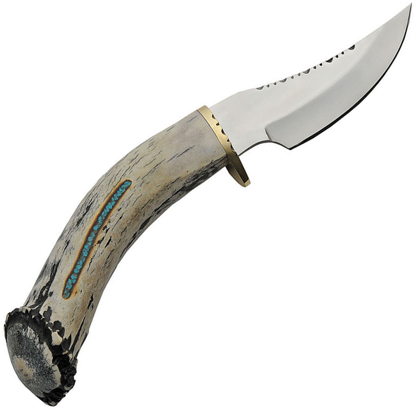 RUDHB1 RUDHB1
